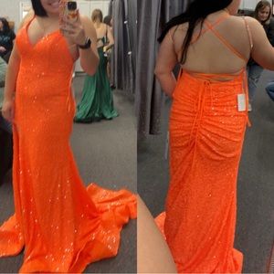 Colors Dress (Size 12)